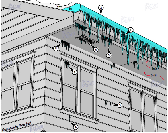 Case Study 2