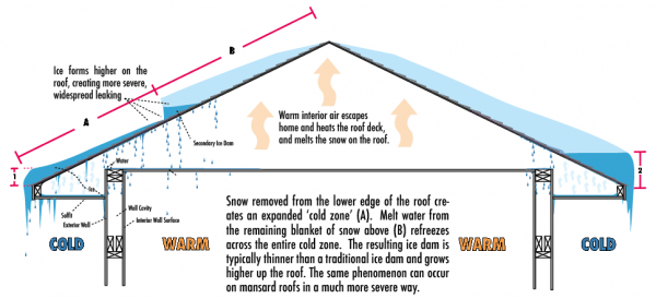 Case Study 21