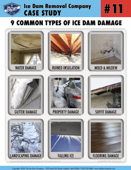 9 Common Types of Ice Dam Damage